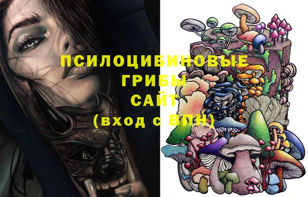 гидропоника Аркадак